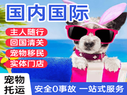 左旗巴彦浩特空运国际宠物托运 【国